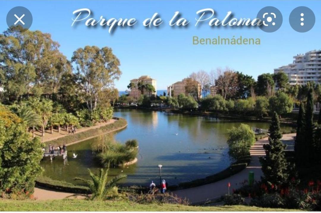 Apartamento Estudio Delicia 2